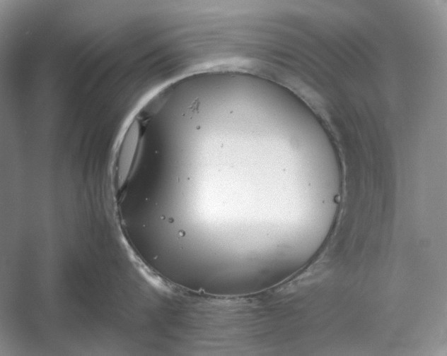 X0000060550816200511171537