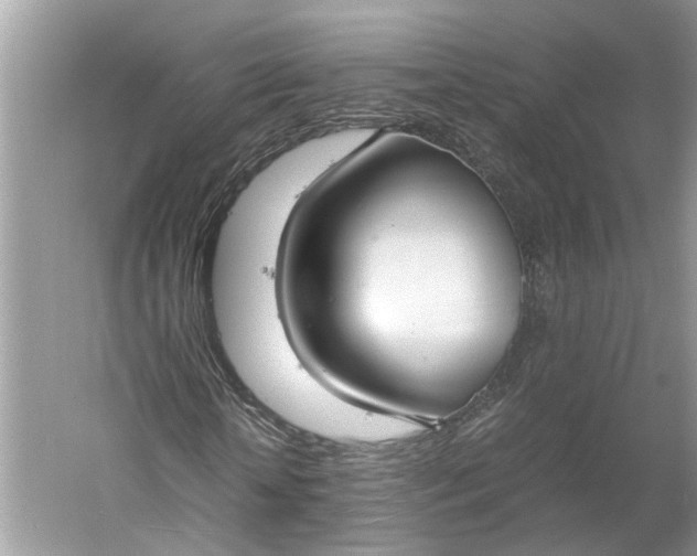 X0000060550818200511171536