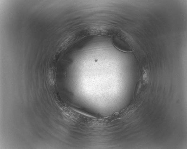 X0000060550819200511171536