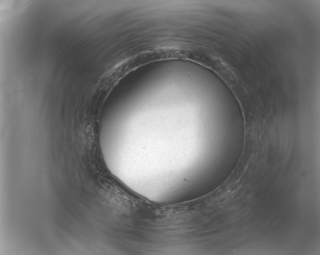 X0000060550821200511171536