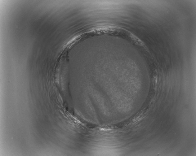 X0000060550822200511171536