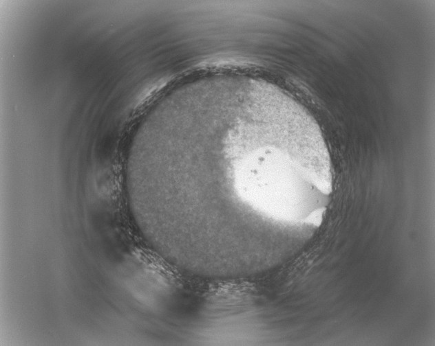 X0000060550824200511171536