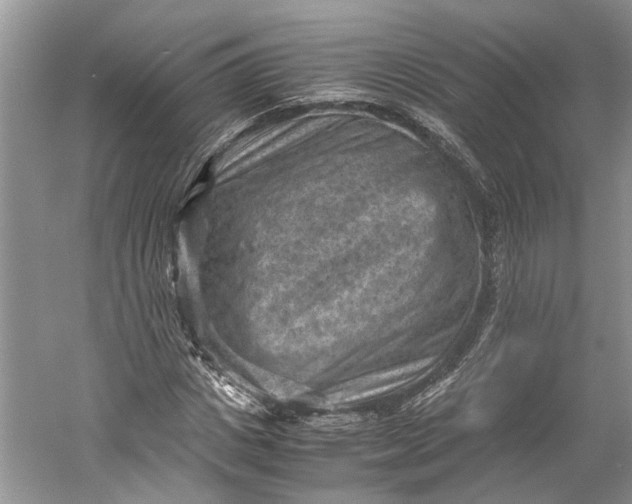 X0000060550825200511171536