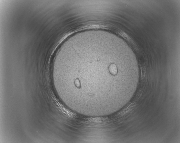 X0000060550828200511171536