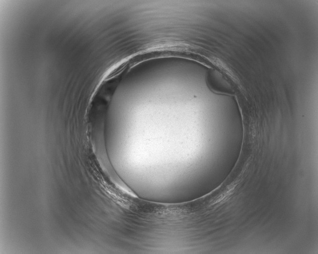 X0000060550830200511171536