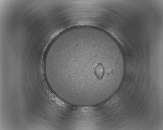 X0000060550832200511171536