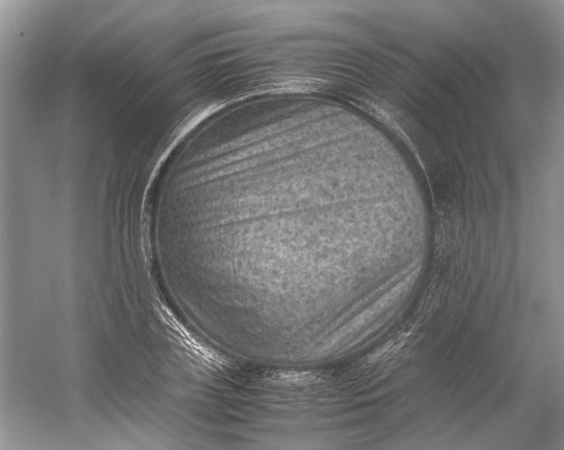 X0000060550835200511171536