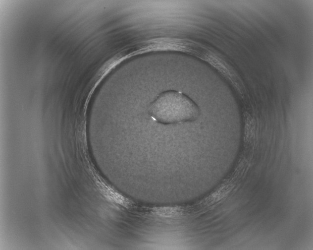 X0000060550836200511171536