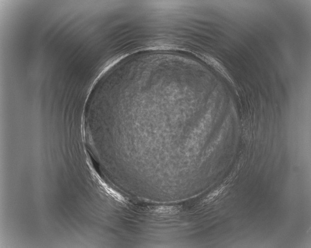 X0000060550839200511171536