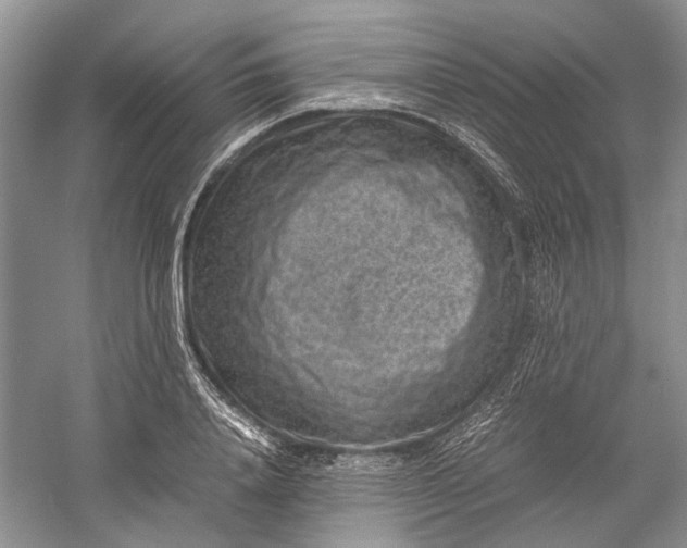 X0000060550840200511171536