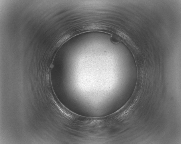 X0000060550841200511171537