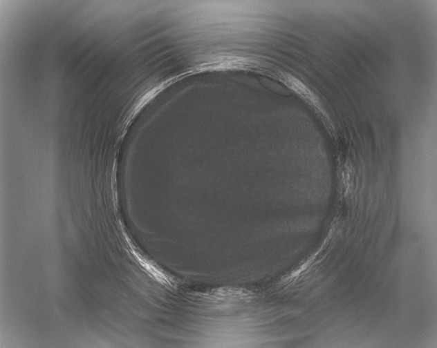 X0000060550842200511171537