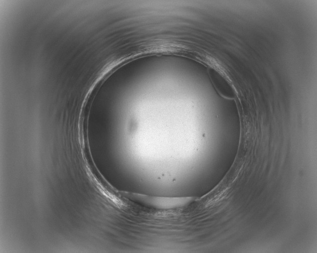 X0000060550843200511171537