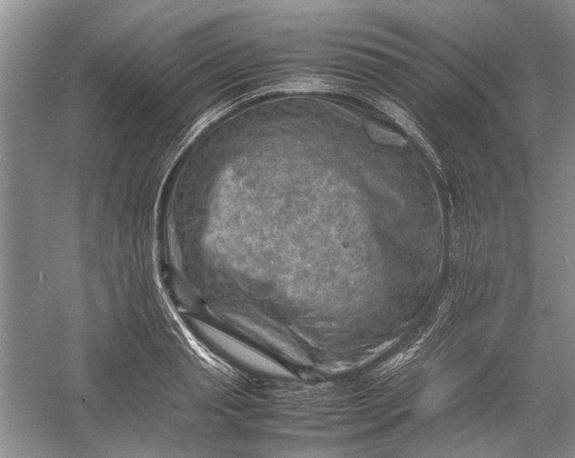 X0000060550845200511171537