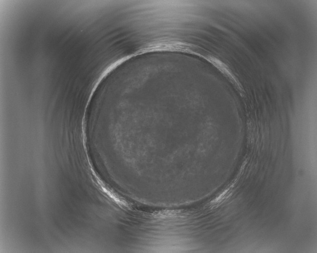 X0000060550846200511171537