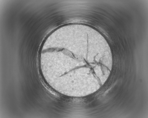 X0000060550848200511171537