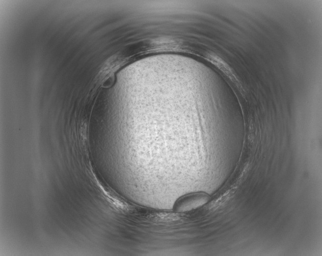 X0000060550849200511171537