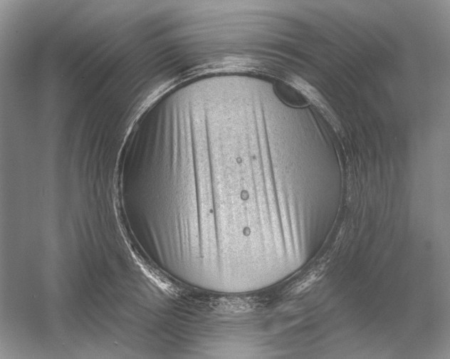 X0000060550850200511171537