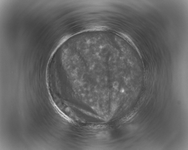 X0000060550851200511171537