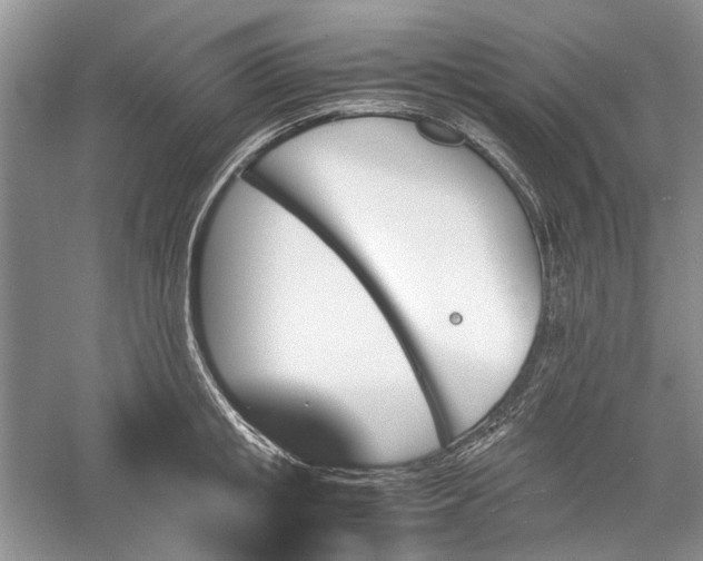 X0000060550853200511171537