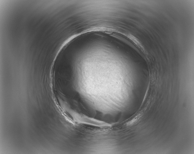 X0000060550854200511171537