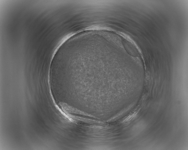 X0000060550855200511171537