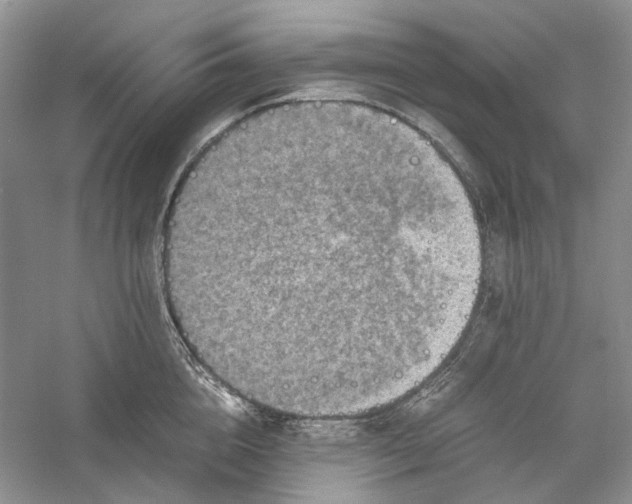 X0000060550856200511171537