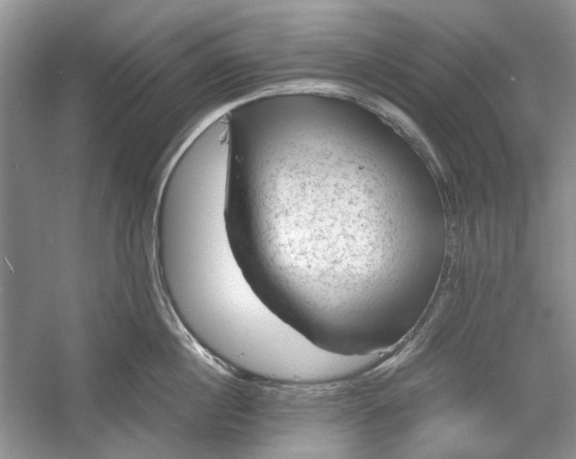 X0000060550860200511171537