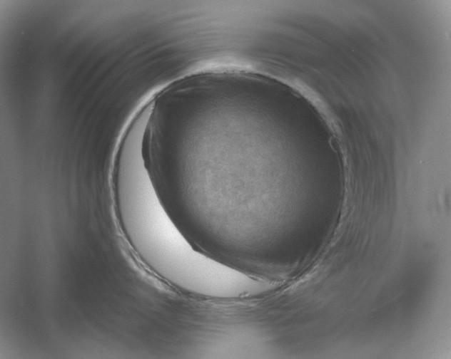 X0000060550864200511171537