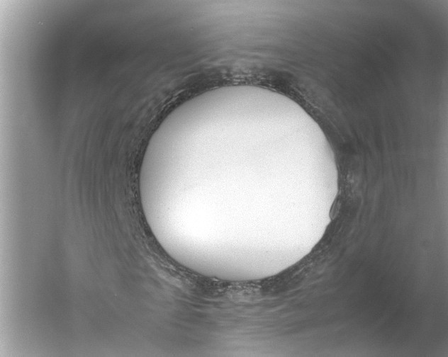 X0000060550865200511171536