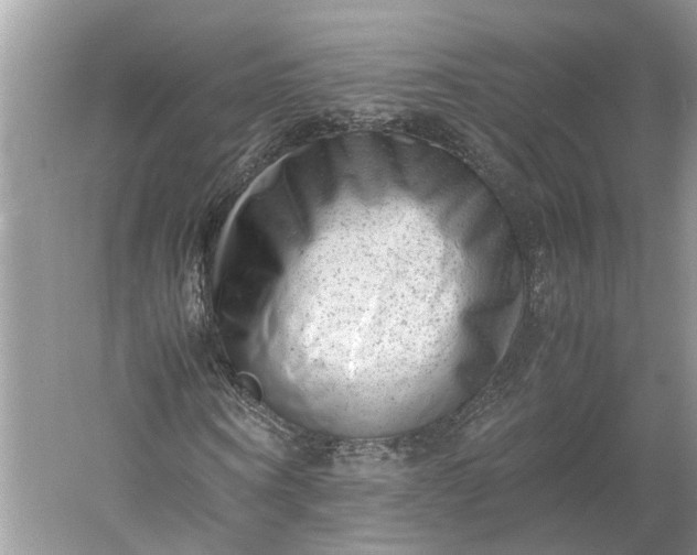 X0000060550866200511171536