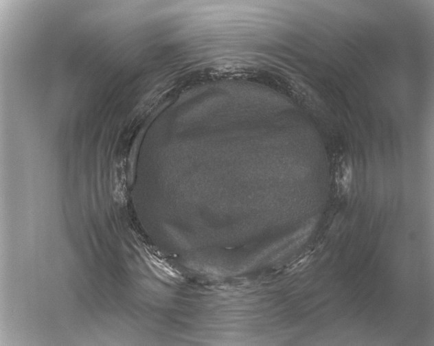 X0000060550868200511171536