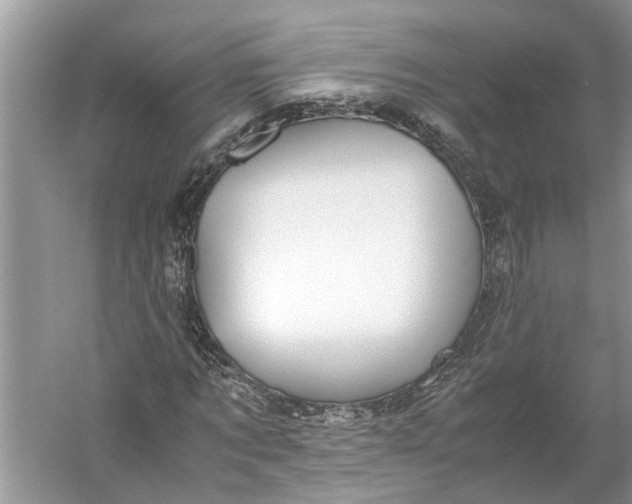 X0000060550869200511171536