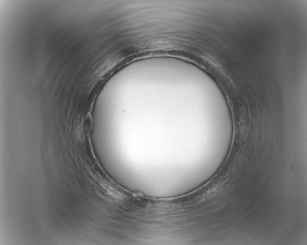 X0000060550873200511171536