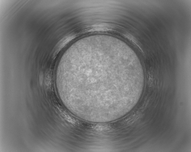 X0000060550874200511171536