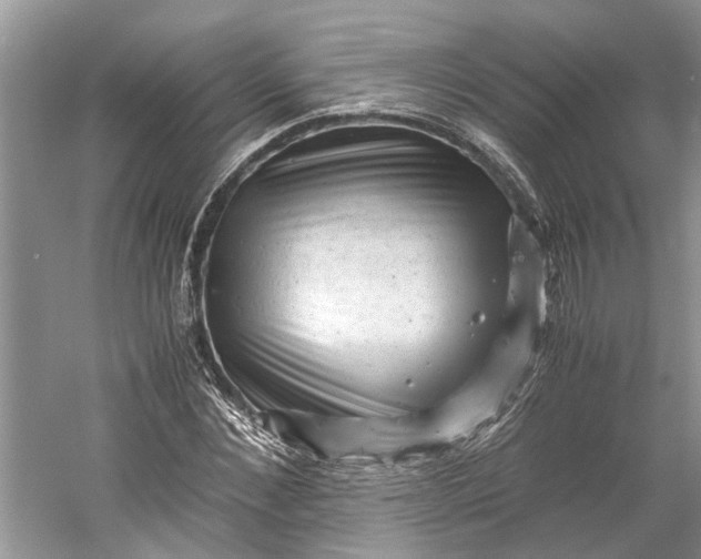 X0000060550876200511171536