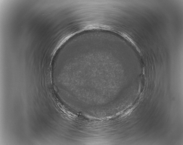 X0000060550877200511171536