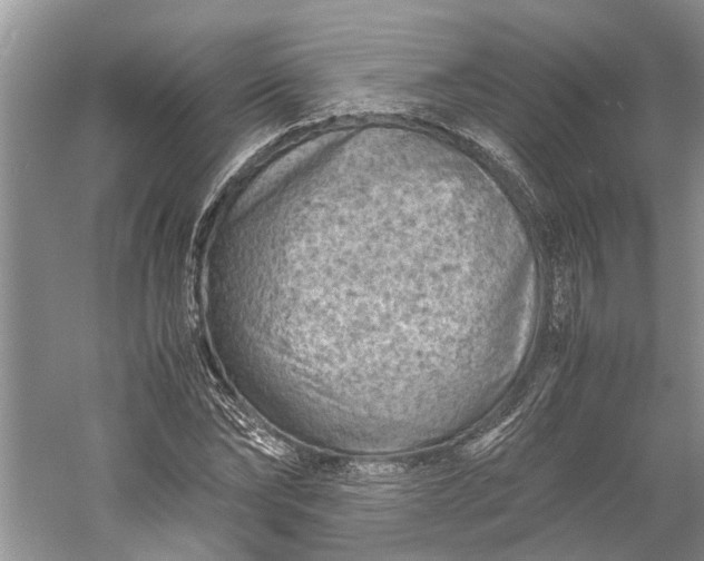 X0000060550878200511171536