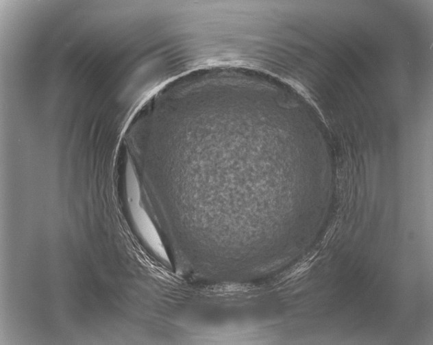 X0000060550879200511171536