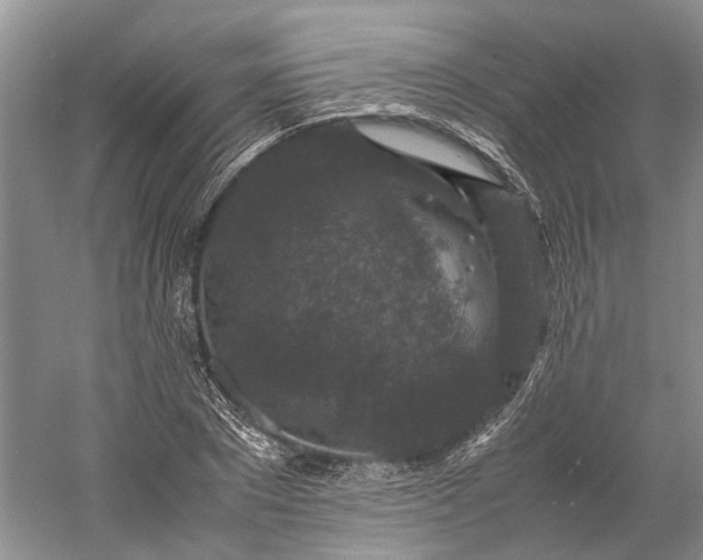 X0000060550881200511171536