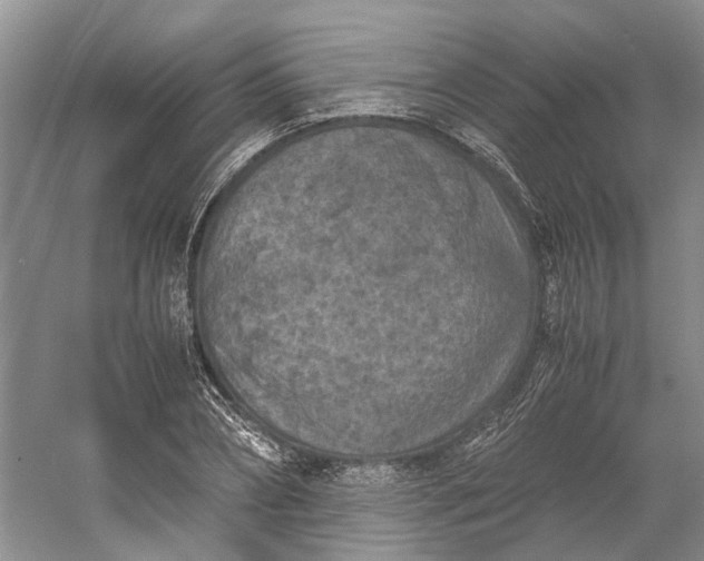 X0000060550882200511171536