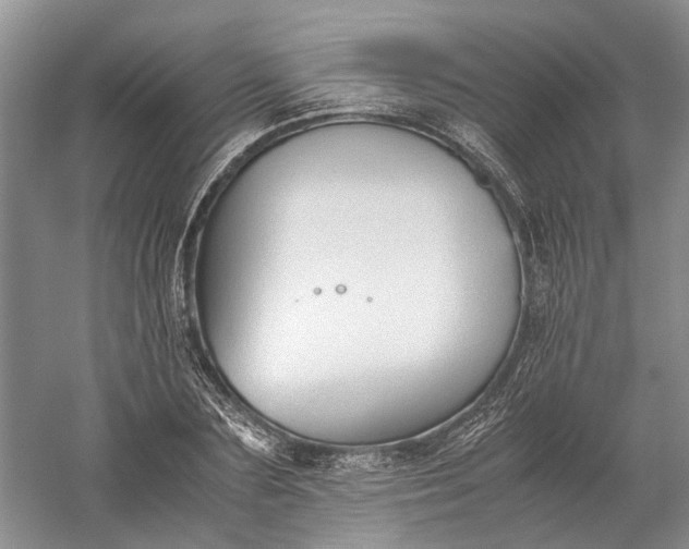 X0000060550883200511171536