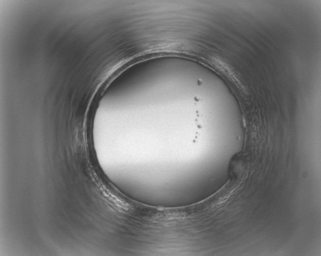 X0000060550884200511171536