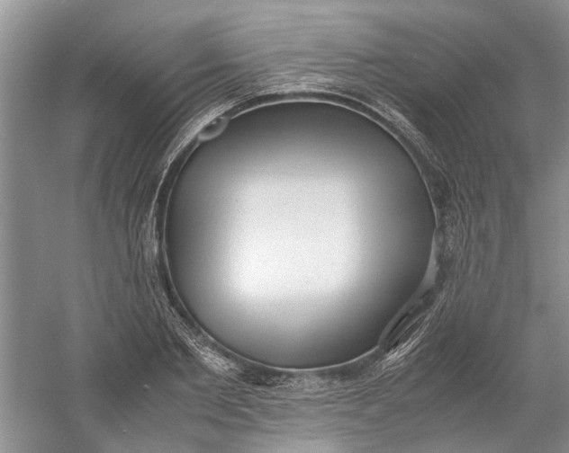 X0000060550885200511171536