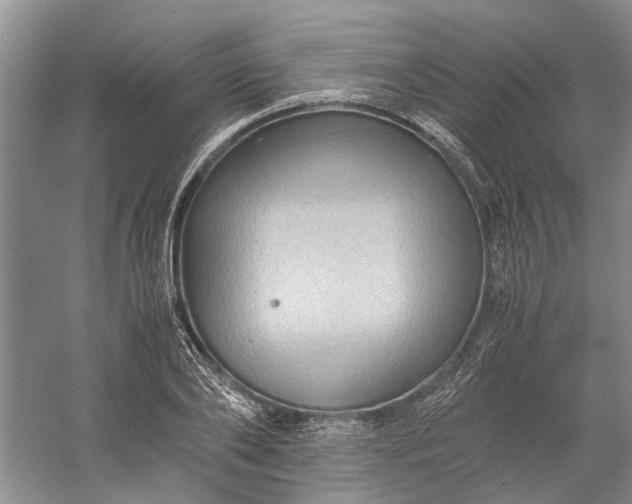 X0000060550886200511171536