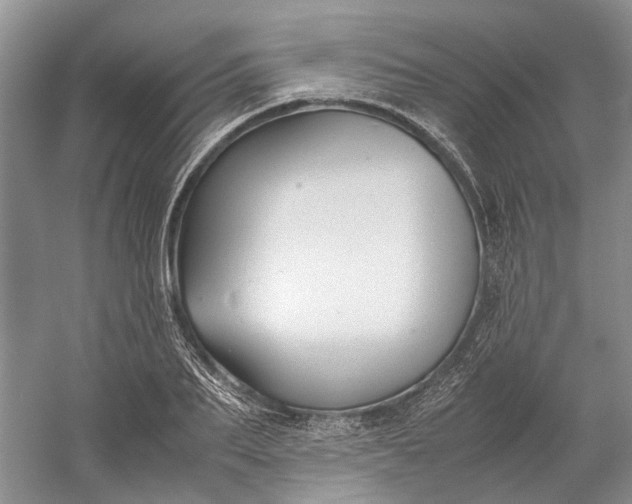 X0000060550887200511171536