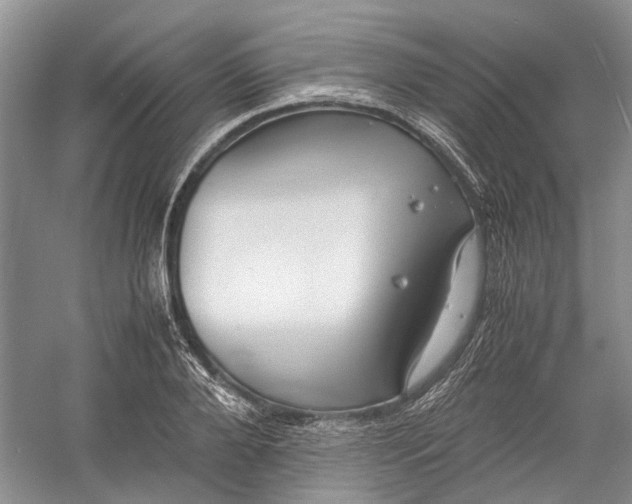 X0000060550888200511171536