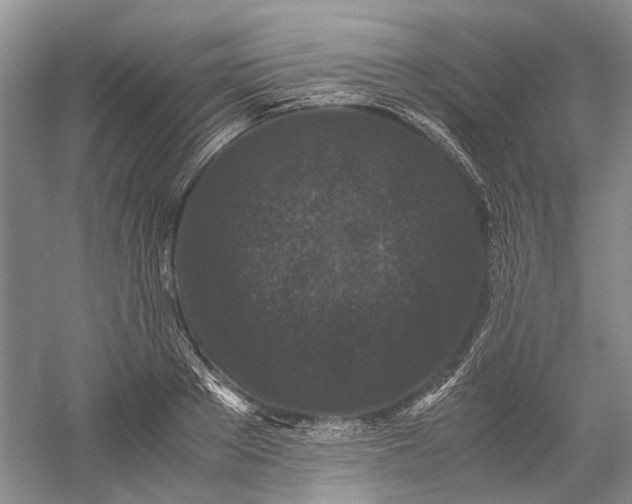 X0000060550889200511171536