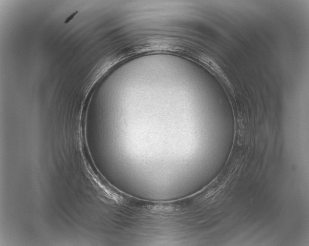 X0000060550890200511171536