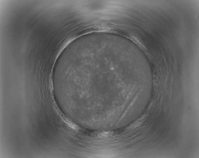 X0000060550891200511171536